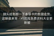 镜头给到那一下本菲卡的数据走势，这锅谁来背（49图库免费资料大全更新被