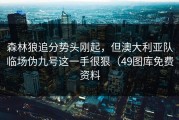 森林狼追分势头刚起，但澳大利亚队临场伪九号这一手很狠（49图库免费资料