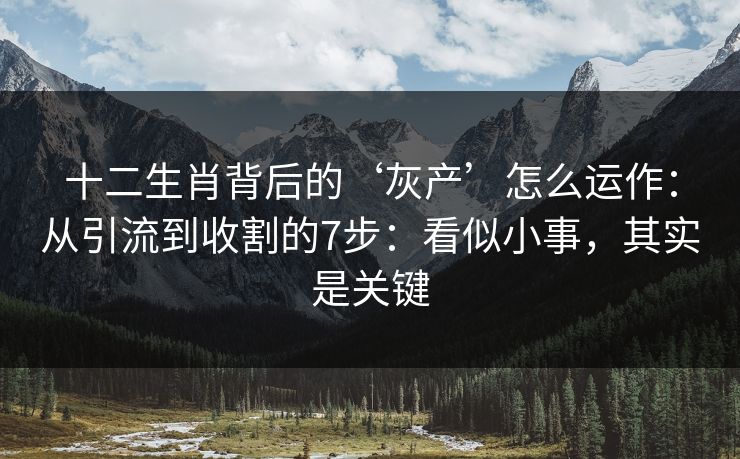 十二生肖背后的‘灰产’怎么运作：从引流到收割的7步：看似小事，其实是关键