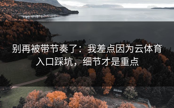 别再被带节奏了：我差点因为云体育入口踩坑，细节才是重点